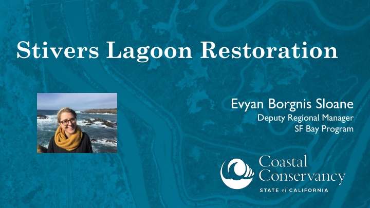 Stivers Lagoon Restoration Project Overview