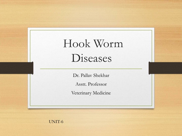 Overview of Hookworm Diseases in Veterinary Medicine
