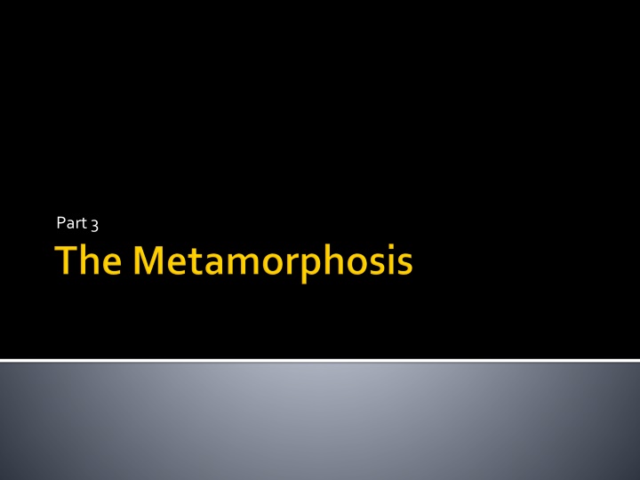Themes of Transformation and Emotional Evolution in 
