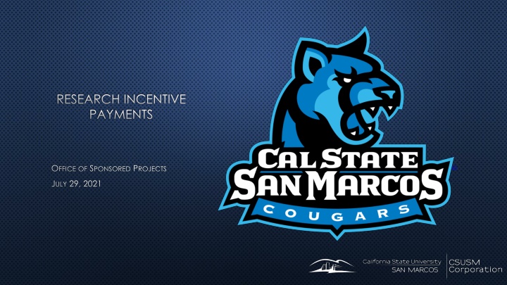 Guidelines for Research Incentive Payments in Sponsored Projects