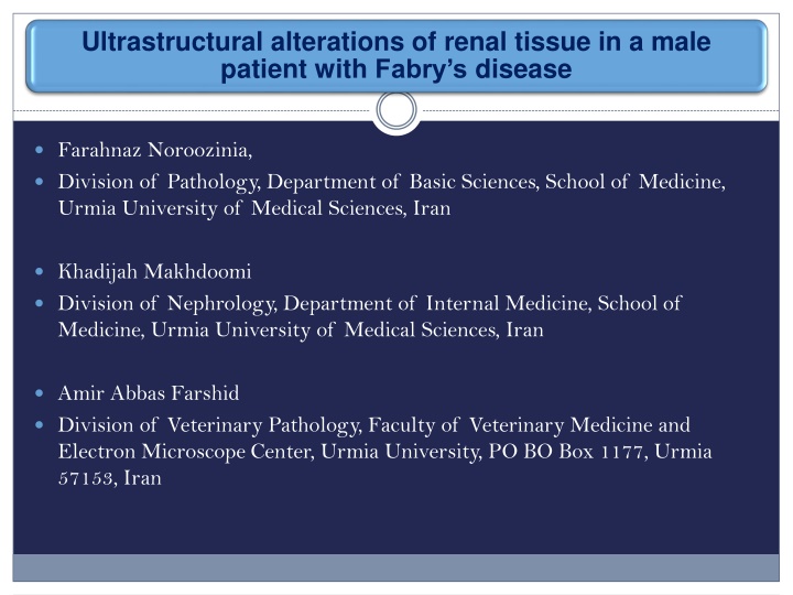 Ultrastructural Alterations of Renal Tissue in a Male Patient with Fabry's Disease