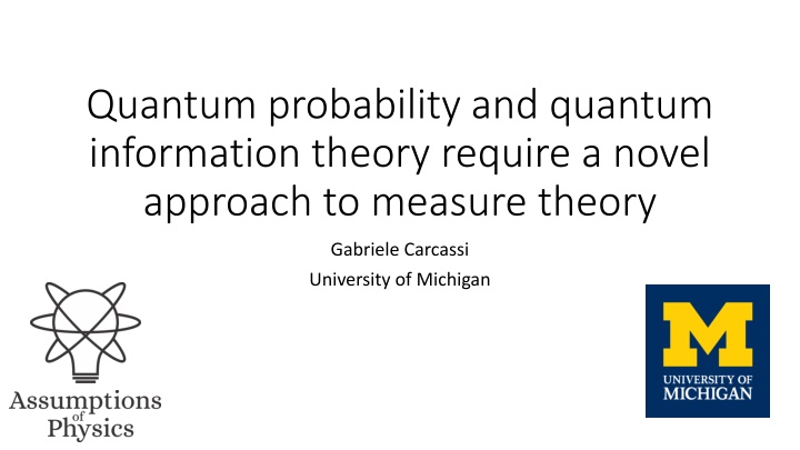Quantum Probability and Information Theory