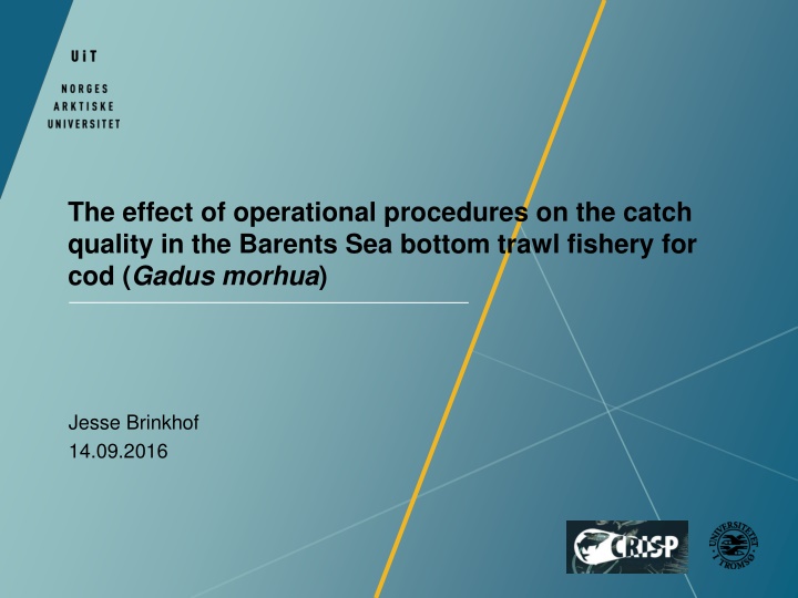 Enhancing Catch Quality in Barents Sea Bottom Trawl Fishery