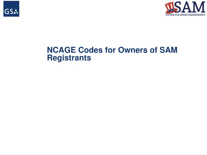 CAGE and NCAGE Codes in U.S. Federal Contracting