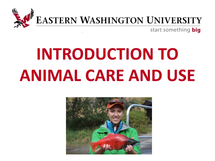 Animal Care and Use in Research and Teaching