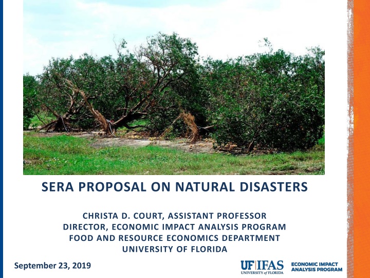 The Economic Impact of Natural Disasters on Agriculture