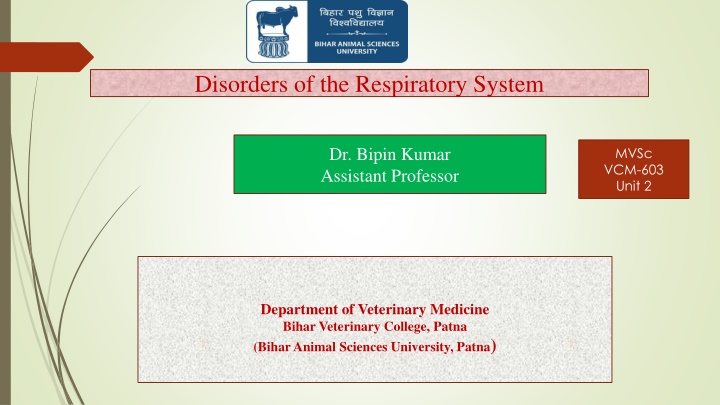 Veterinary Guide: Respiratory System Disorders in Horses