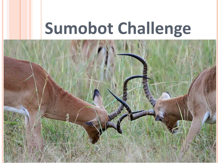 Sumobot Challenge: Building and Battling Robots in the Arena