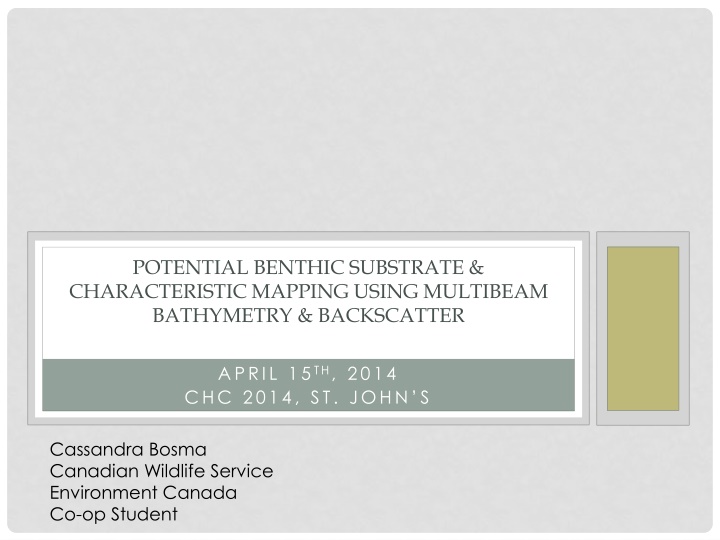 Benthic Substrate Characterization Through Multibeam Bathymetry