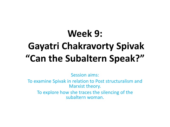 Reimagining Theoretical Boundaries: Spivak's Critical Perspectives