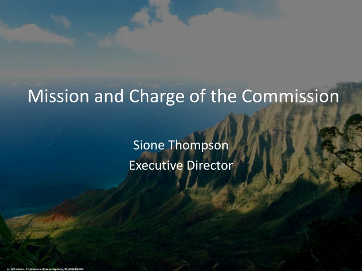 Charter Commission Mission and Standards