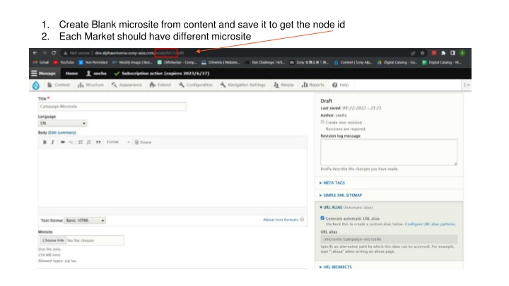 Instructions for Creating Market-Specific Microsites