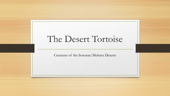 The Amazing Desert Tortoise: Surviving Adversity in the Sonoran/Mohave Deserts