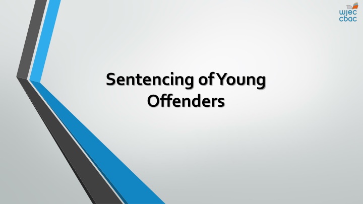 Sentencing of Young Offenders