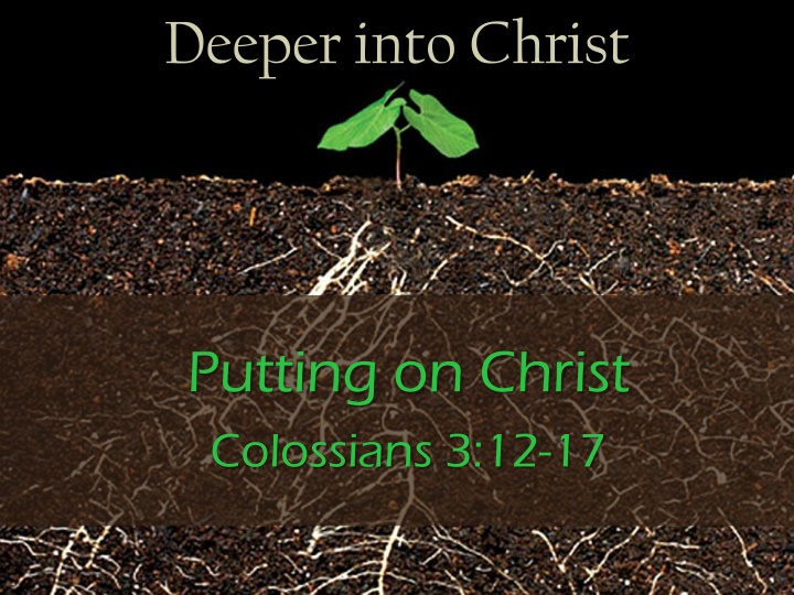 Clothe Yourself with the Virtues of Christ