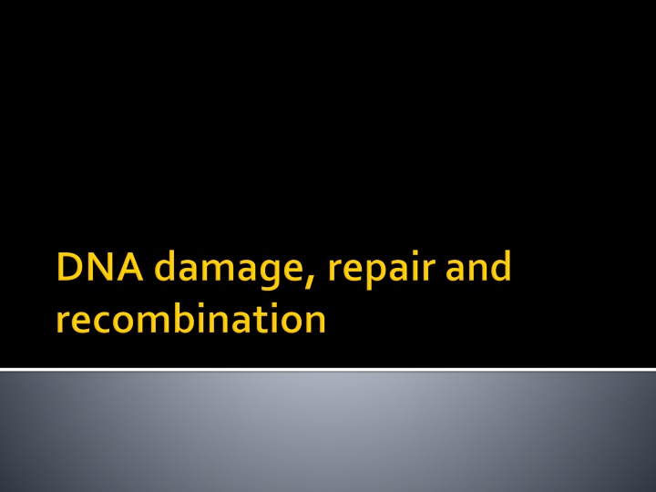 Mutagenesis, DNA Damage, Repair, and Recombination