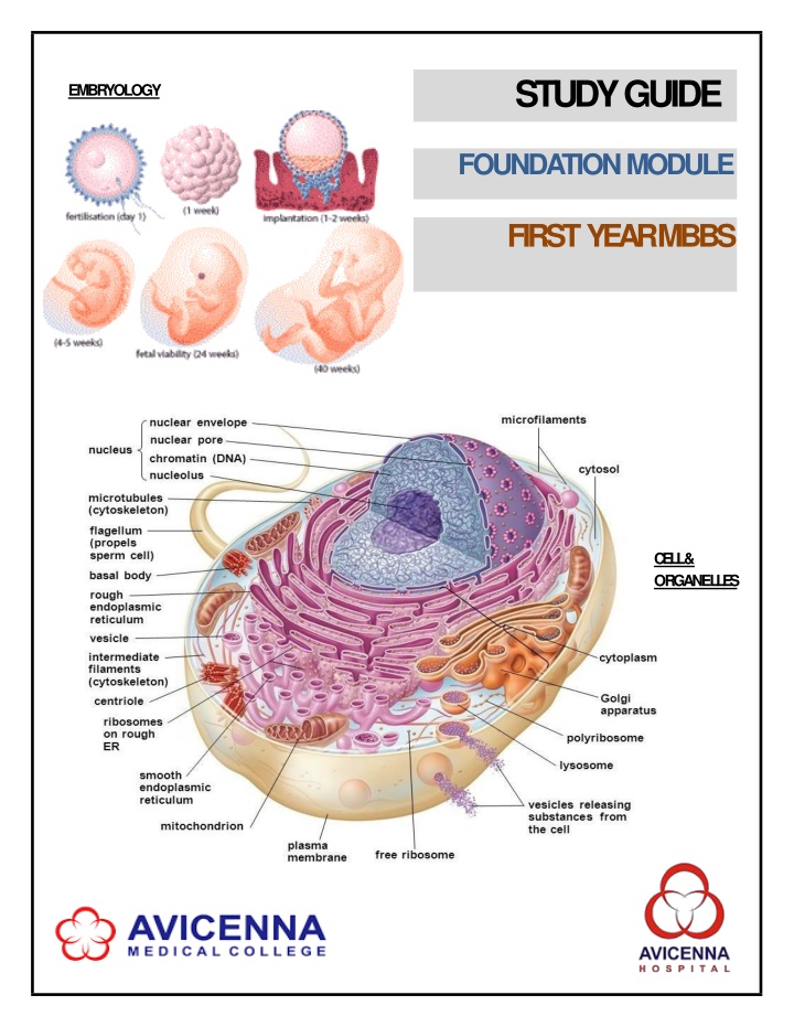 1st Year MBBS Foundation Module Study Guide at Avicenna Medical College