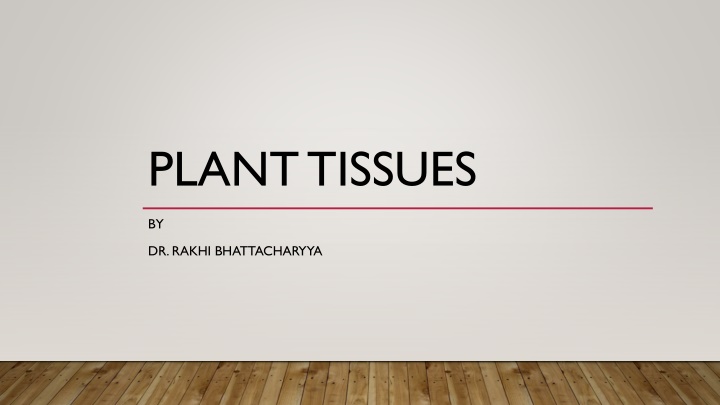 Plant Tissues and Meristems in Botany