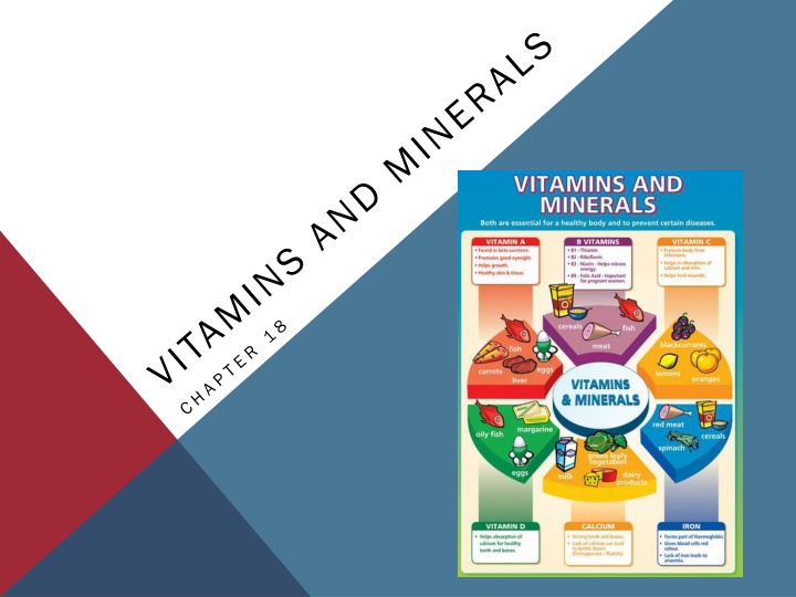 Importance of Vitamins and Minerals in Health