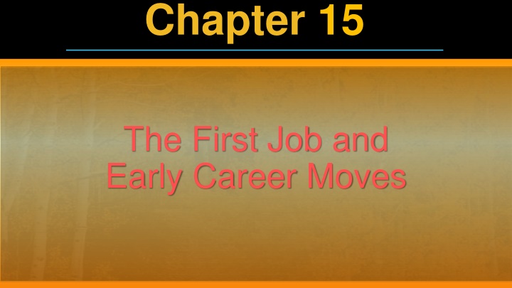 Early Career Success: Navigating the Transition from College to Professional Work