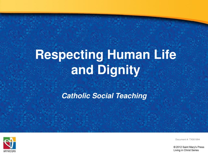 The Culture of Life and Death