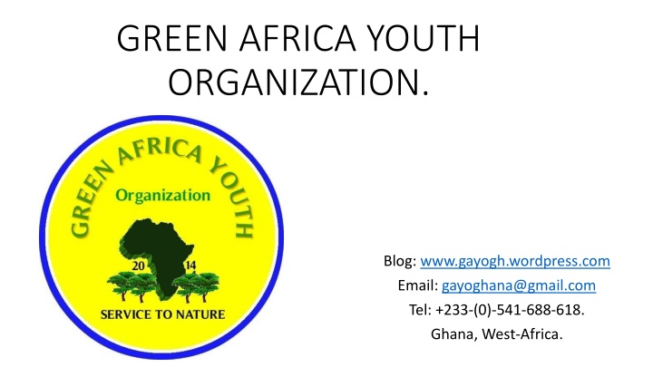 Green Africa Youth Organization: Solving Ghana's Eco Decoration Opportunity