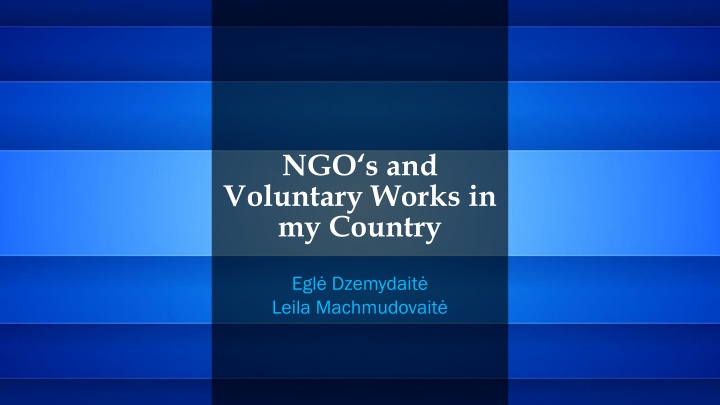 NGO Initiatives in Lithuania: Order of Malta and POLA Coalition
