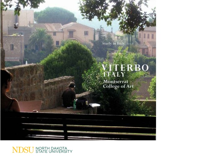 The Jim Falck Viterbo Scholarship Award Details