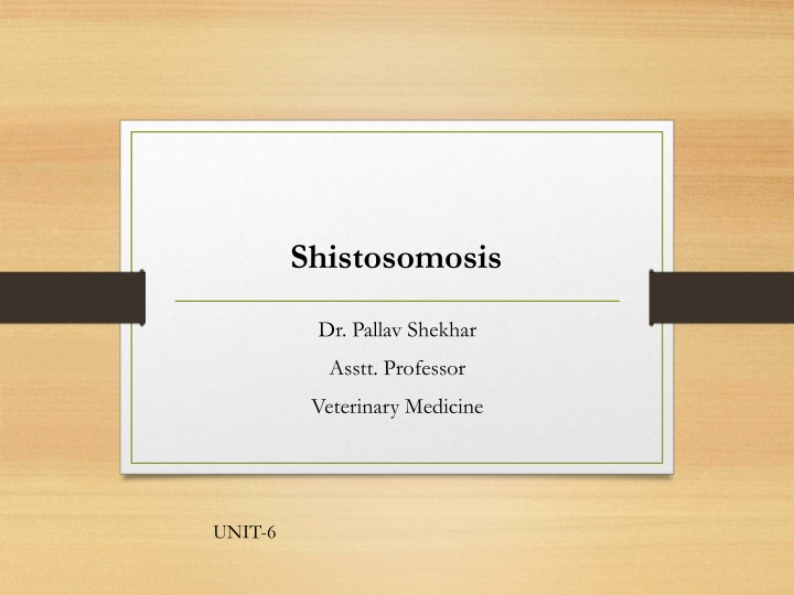 Shistosomosis in Veterinary Medicine