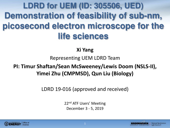 Advancing Electron Microscopy in Life Sciences through UEM Feasibility Demonstration