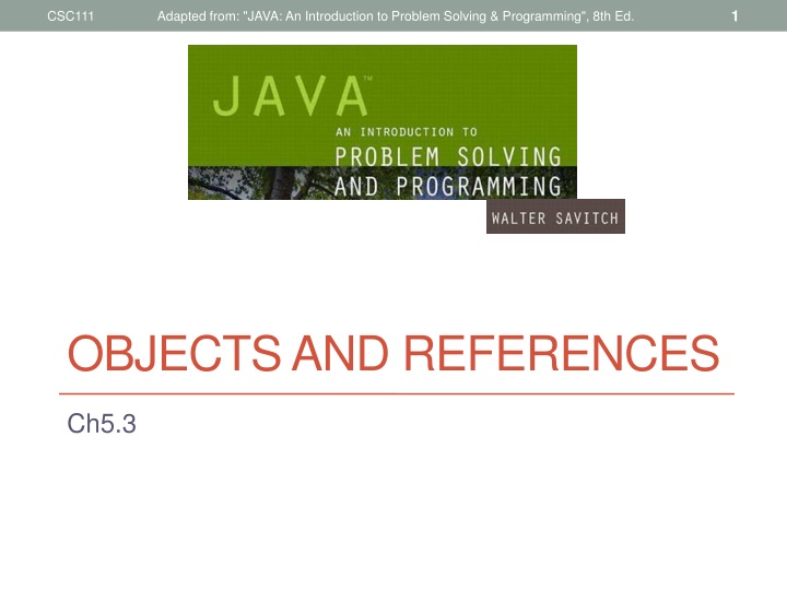 Objects and References in Java Programming