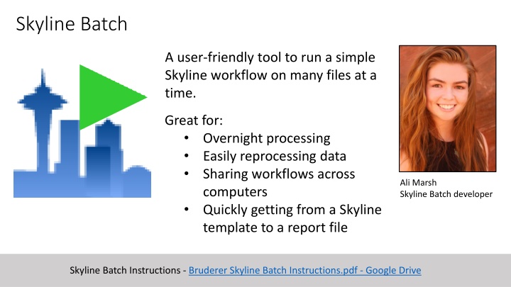 Efficient Skyline Batch Workflow Tool for Processing Multiple Files