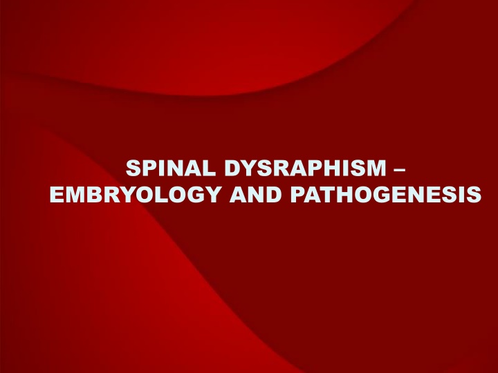 Embryology and Pathogenesis of Spinal Dysraphism
