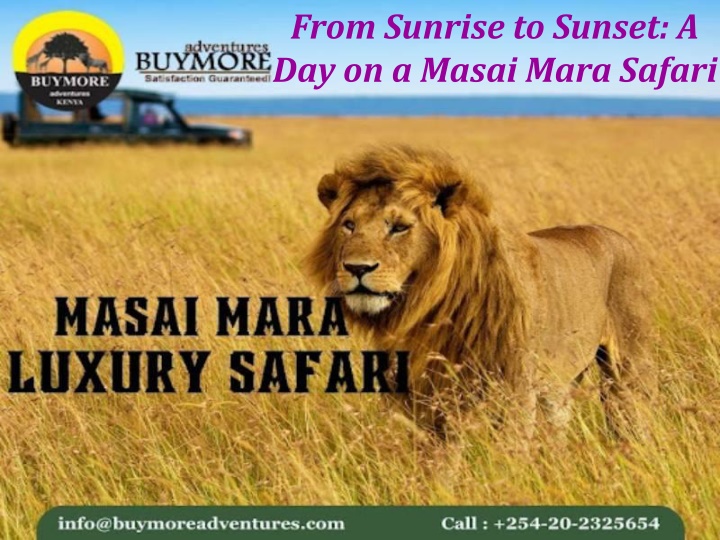From Sunrise to Sunset: A Day on a Masai Mara Safari