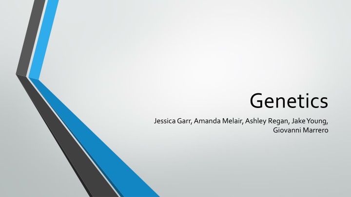 Genetics: Concepts of Heredity, Mitosis, Meiosis, and DNA