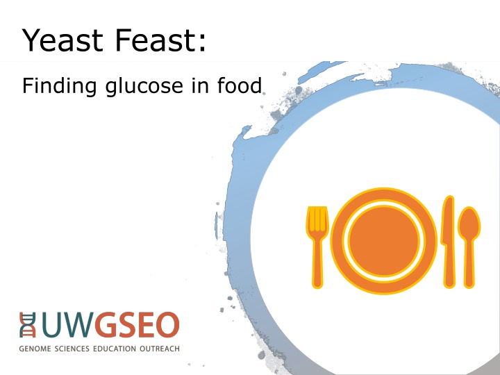 Glucose and Its Role in the Body