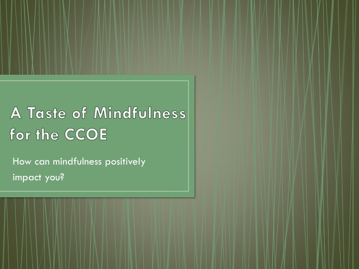Exploring the Positive Impact of Mindfulness and Compassion