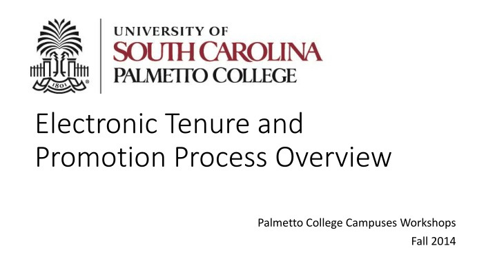 Electronic Tenure and Promotion Process Overview at Palmetto College Campuses