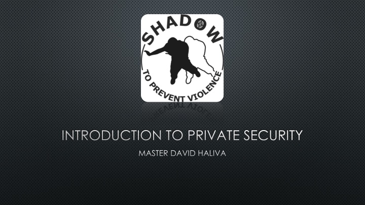 Personal Security Insights by Master David Haliva