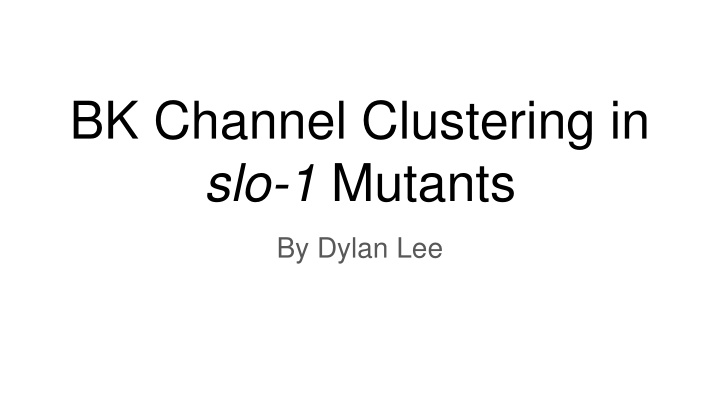 Investigating the Role of Amino Acid 381 in BK Channel Clustering