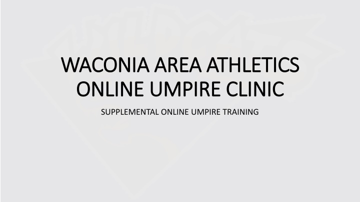 Online Umpire Clinic for Waconia Area Athletics