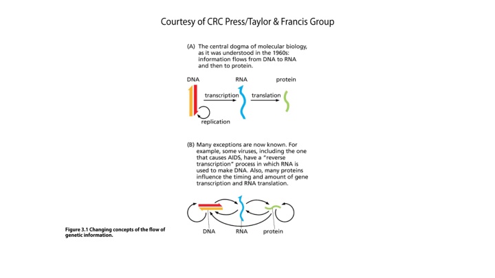 Comprehensive Guide on Effective Communication Skills