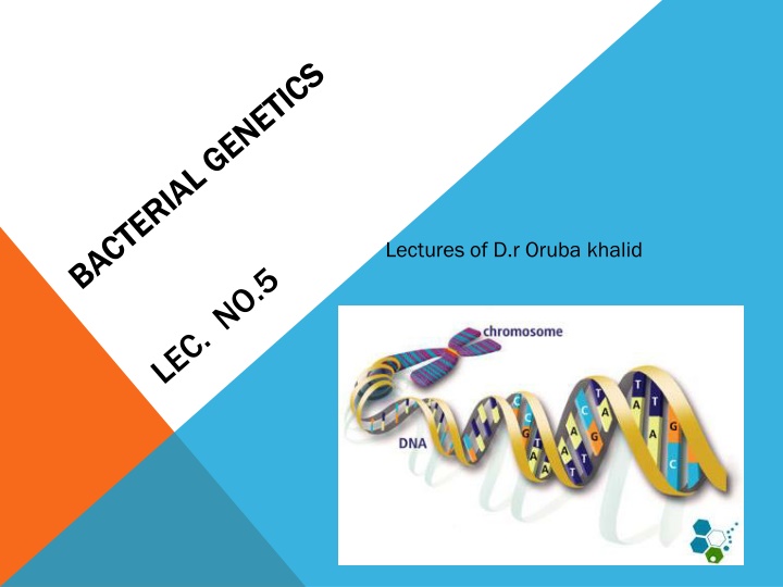 Bacterial Genetics and DNA Structure