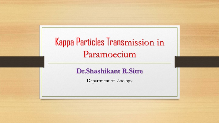 Kappa Particles Transmission in Paramecium