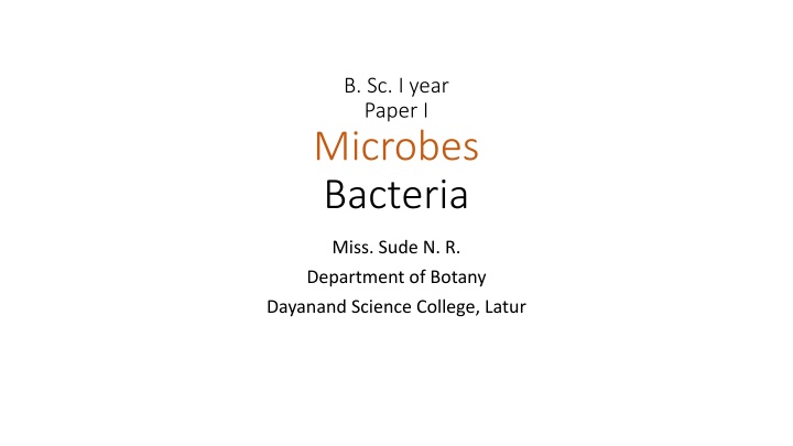 Detailed Overview of Bacteria's Structure and Function