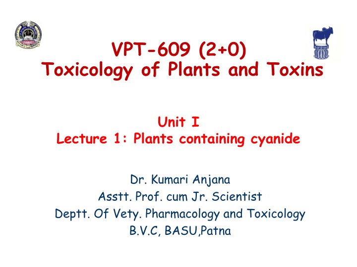 Cyanogenic Plants and Cyanide Poisoning in Animals