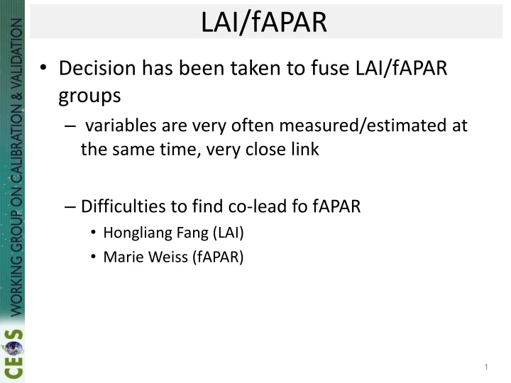 Recent Activities and Future Plans in LAI/FAPAR Research