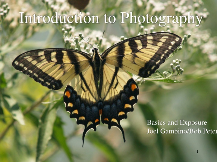 Photography Basics and Exposure Explained