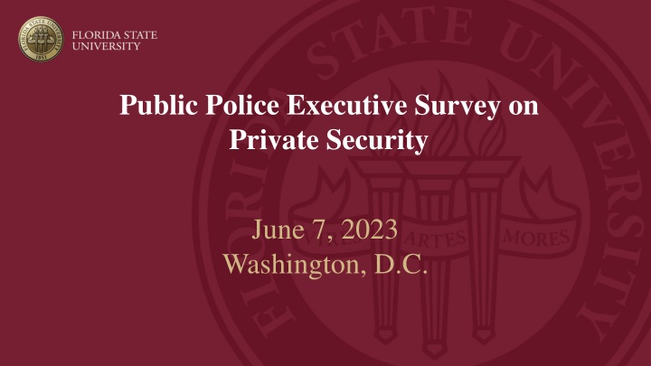 Insights from Public Police Executives on Private Security Services