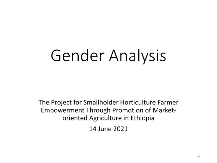 Gender Analysis in Smallholder Horticulture Farming Empowerment Project